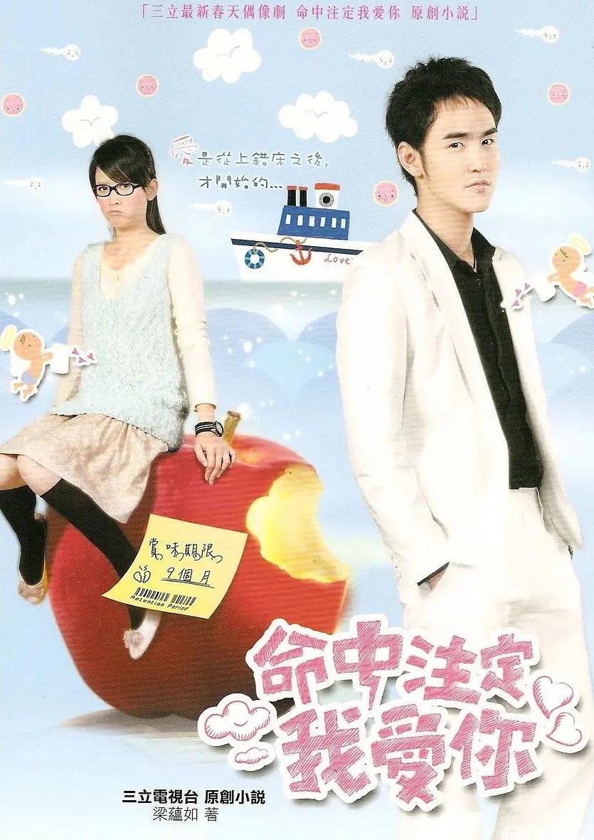 命中注定我爱你/爱上琉璃苣女孩 1080P 修复版 24集 国语中字